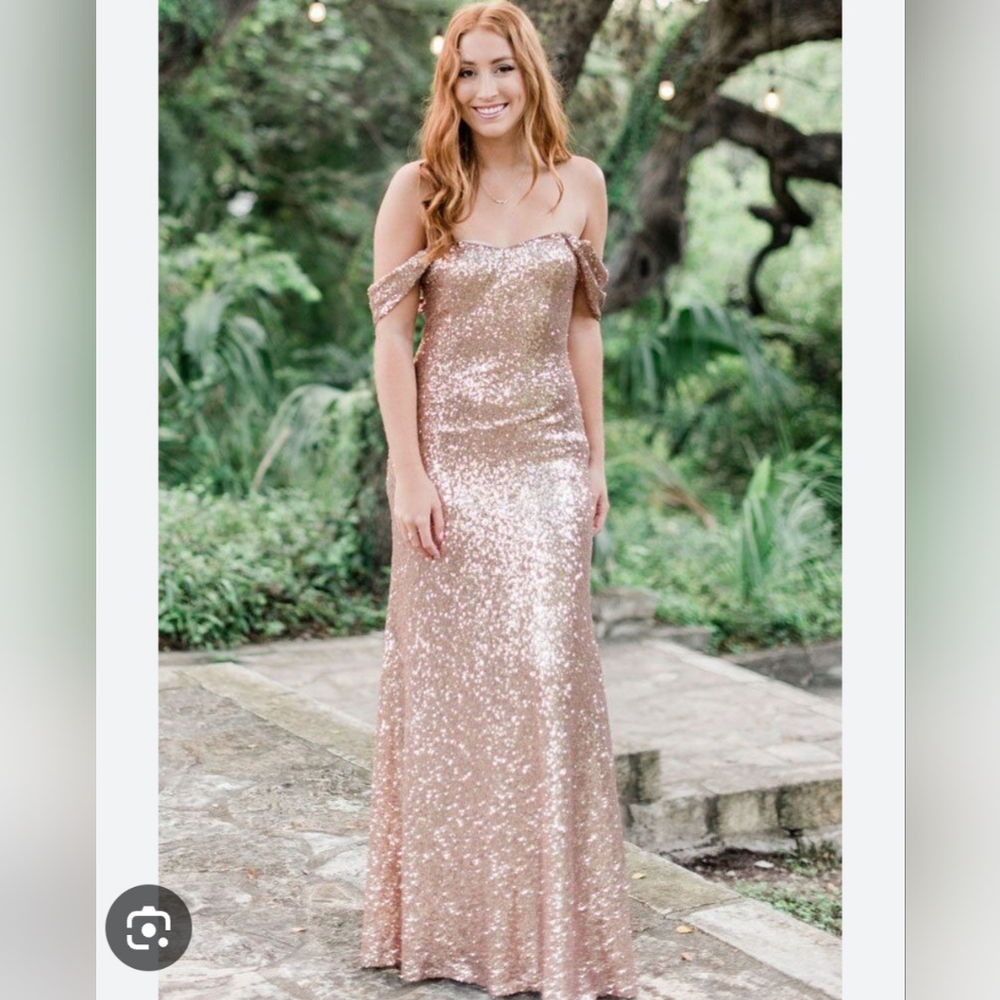 Revelry Blakley Sequin dress